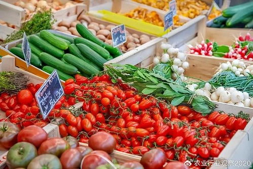 農產品B2B電商 顛覆傳統模式，開啟未來新篇章